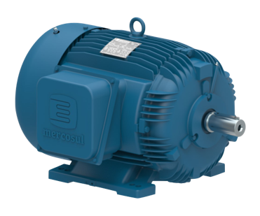 Motor Elétrico